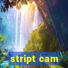 stript cam